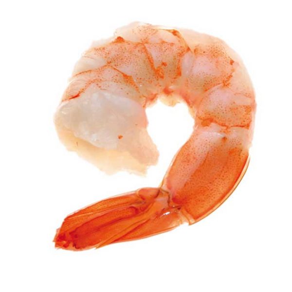 IQF Cooked Peeled Tail on Shrimps 41/50