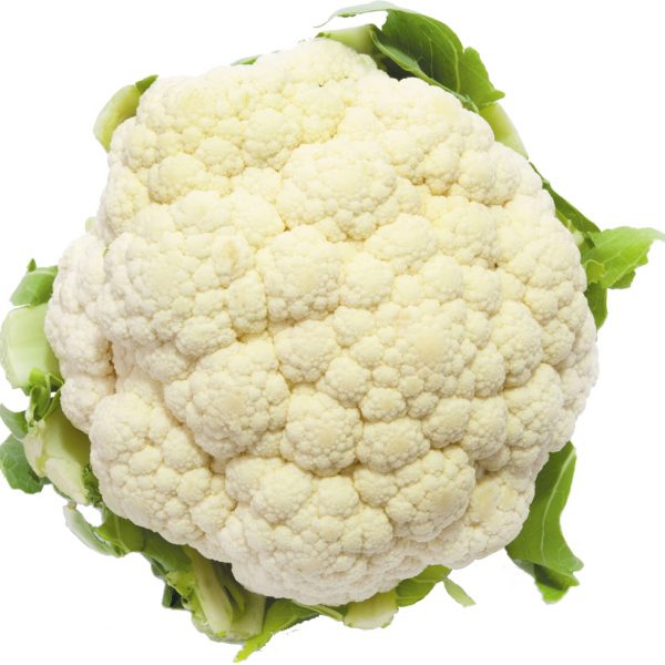 Head of fresh cauliflower on a white background.