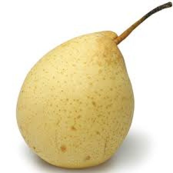 Chinese Pear