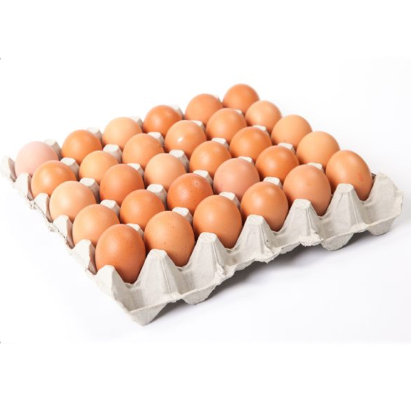 Eggs 30s p/p