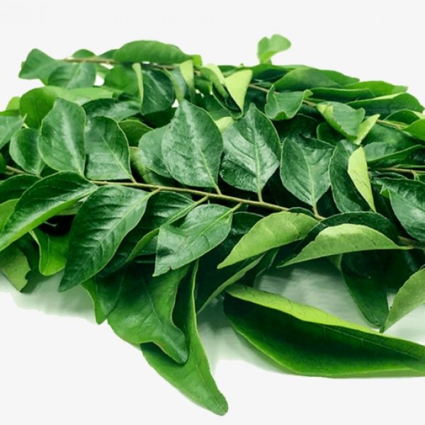 Fresh Curry Leaves
