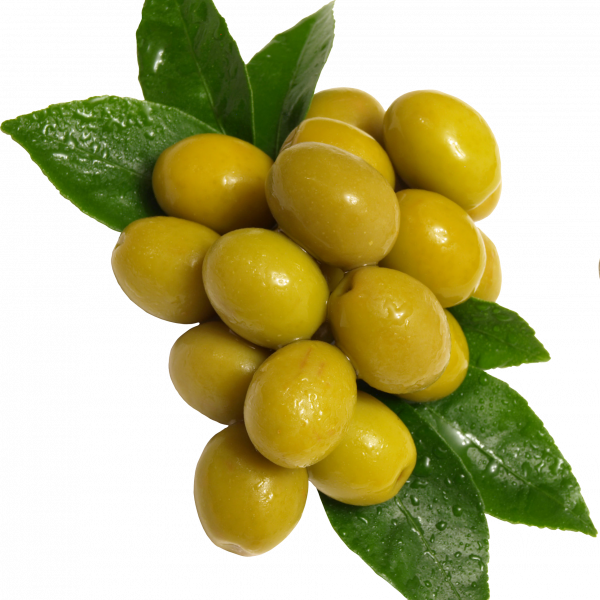 Hand Picked Green Olives